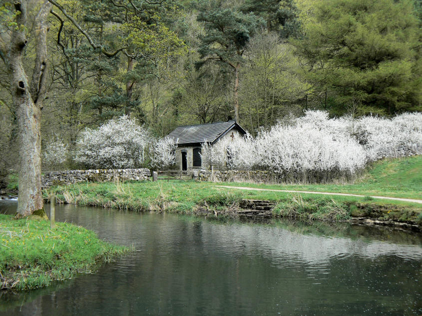 By Coldeaton Bridge By Coldeaton Bridge